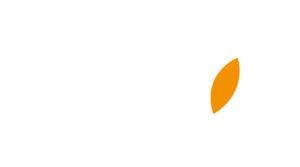 Ingeniería IKAVI