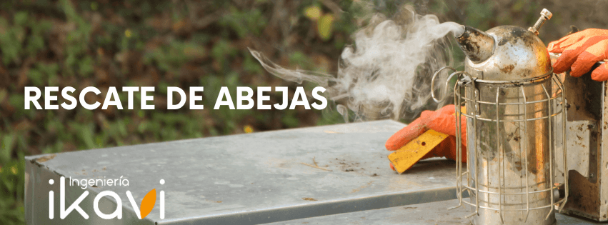 Rescate de abejas